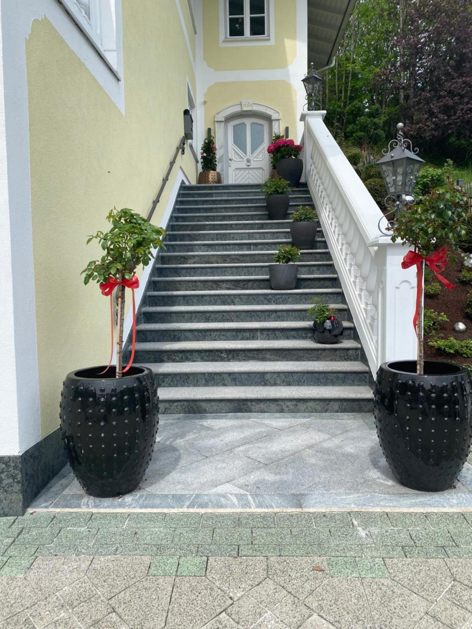 Appartement Bergblick I فيستينو المظهر الخارجي الصورة