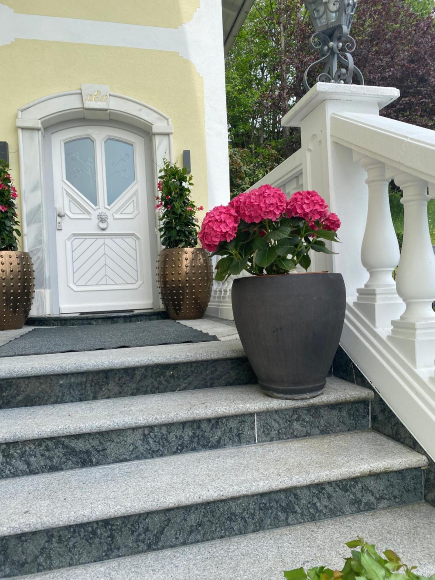 Appartement Bergblick I فيستينو المظهر الخارجي الصورة